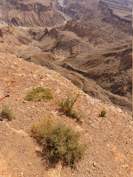 Fish River Canyon