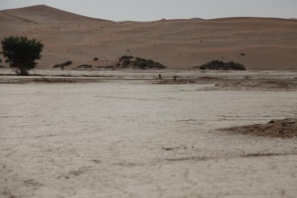 Sossuvlei Pan