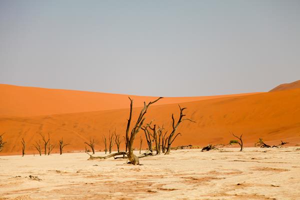 Deadvlei